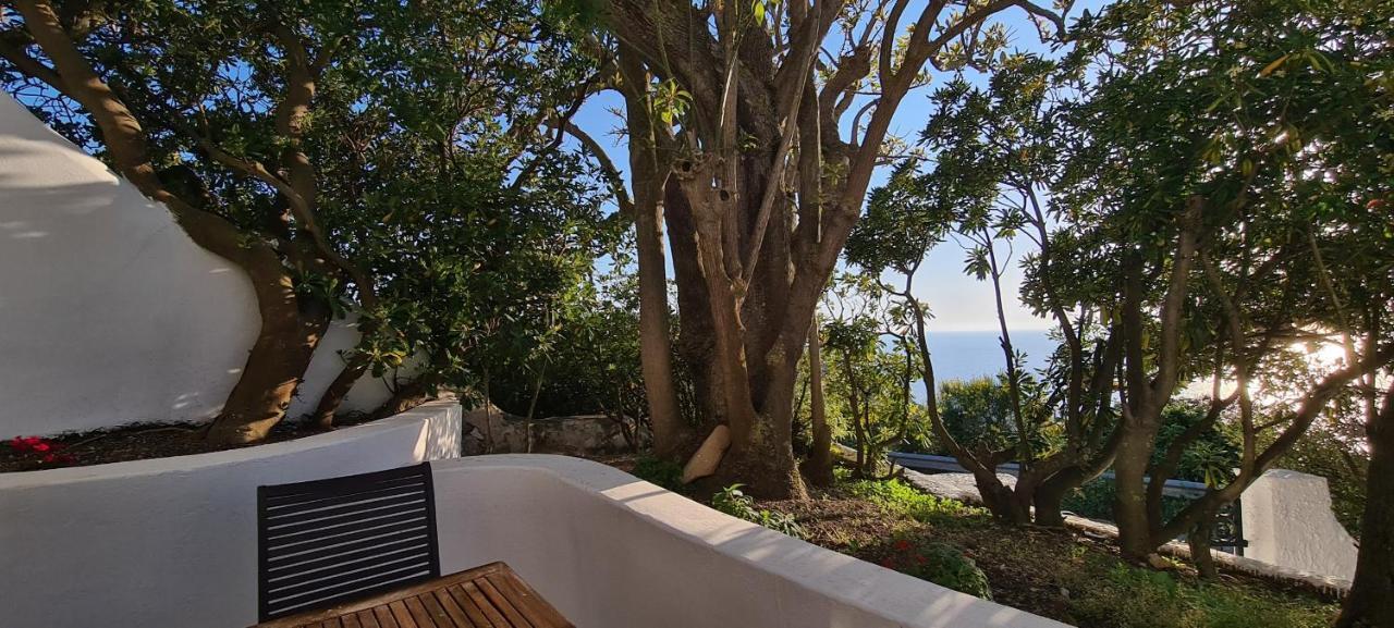 Guest House Villa Il Gabbiano Ponza Zewnętrze zdjęcie